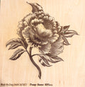 Peony Flower Laser Engraved Basswood Artwork (30cm x 30cm) – One of a Kind